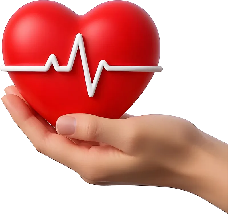 Heart illustration
